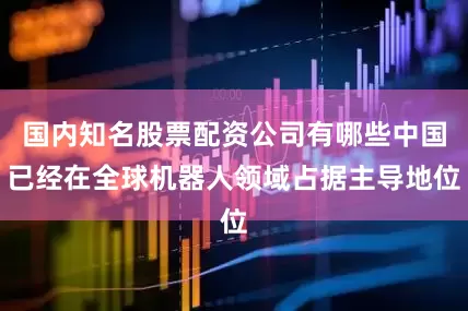 国内知名股票配资公司有哪些中国已经在全球机器人领域占据主导地位