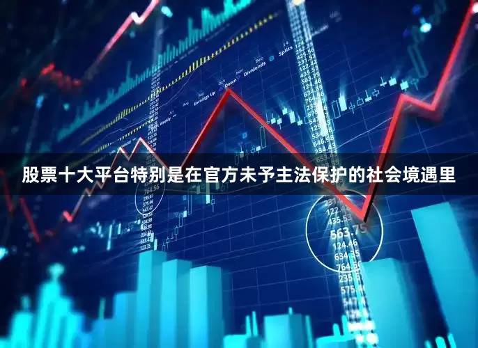 股票十大平台特别是在官方未予主法保护的社会境遇里
