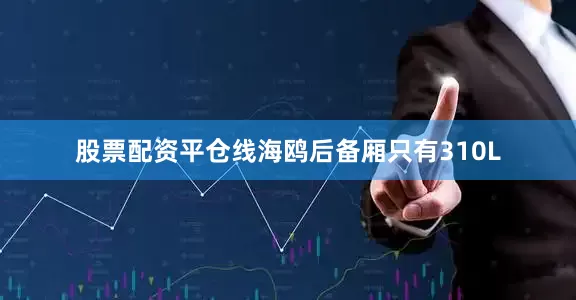 股票配资平仓线海鸥后备厢只有310L