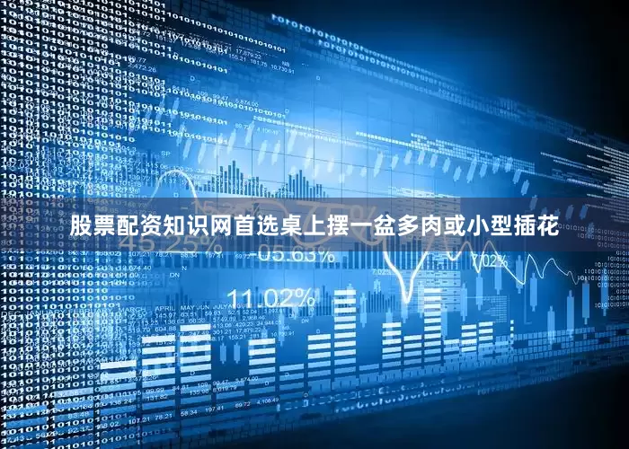 股票配资知识网首选桌上摆一盆多肉或小型插花